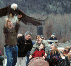 Eagle release